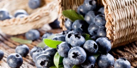 Kako brzo ukloniti borovnice sa listova